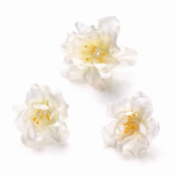Blüten 2,5cm weiß
