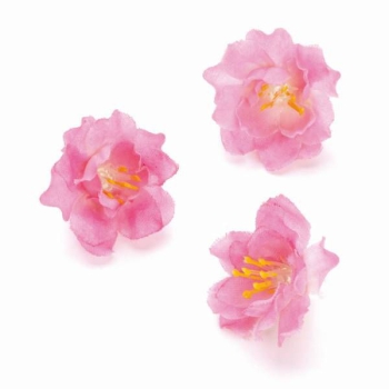 Blüten 2,5cm rosa