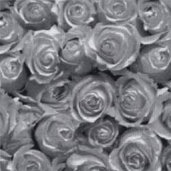 Roses silver