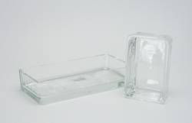 Glasschale 5x11x24,5cm