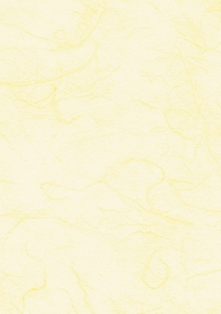Strohseide 50x70cm 25g vanille