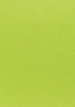 Maulbeerpapier grasgrün 55x40cm 90-100g/m²