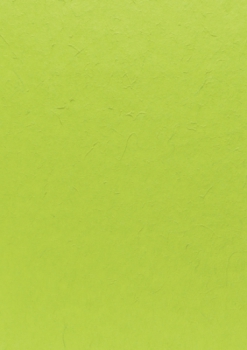 Maulbeerpapier grasgrün 55x40cm 90-100g/m²