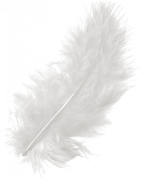 Marabufeder 10cm weiß 15er