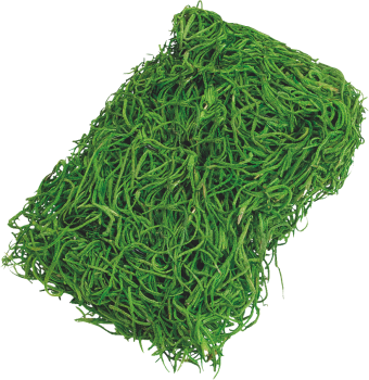 Dschungelgras moosgrün 20 g