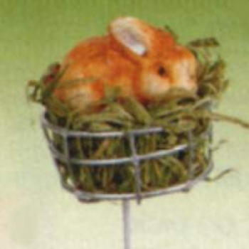 Hase im Nest