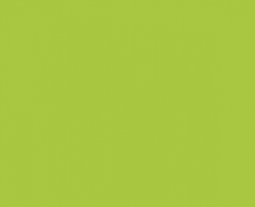 Wachsplatten 175x80x0,5mm apfelgrün