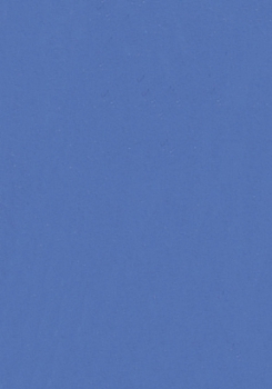 WACO Fin 50ml blau
