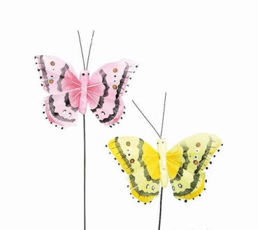 Schmetterling