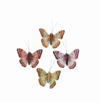 Schmetterling