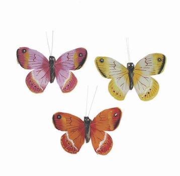 Schmetterling