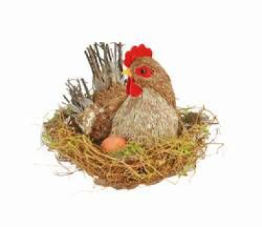 Huhn im Nest