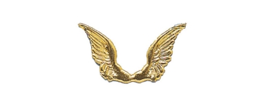 Engelflügel gold 50x25mm