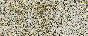 Glas Design Fenstermalfarbe Glitzer-Gold