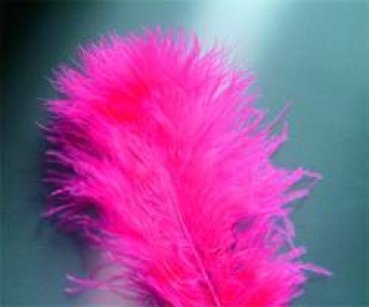 Marabufedern pink