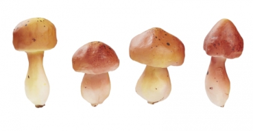 Preview: Pilze mit Moos 4 - 4,5cm