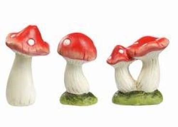 Pilze