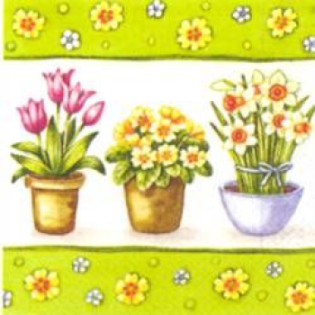 Flower Pot