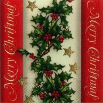 Holly border