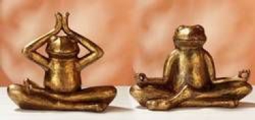 Yoga-Frosch