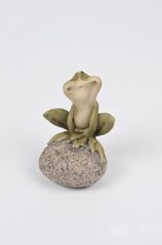 Frosch auf Stein