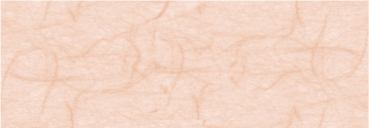 Strohseide 25g 50x70cm lachs