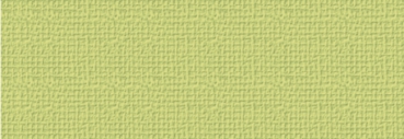 Struktura Basic 220g/m² 50x70cm olivgrün