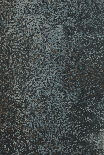 Holografiefolie 50x100cm schwarz