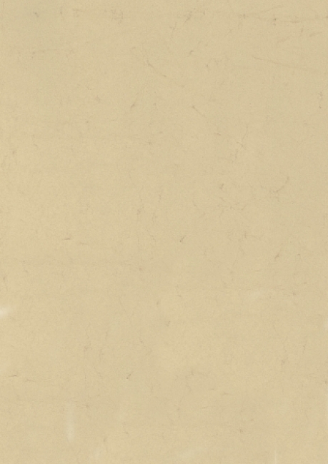 Elefantenhaut A4 110g/m² chamois
