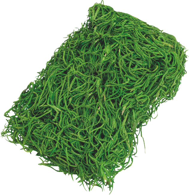 Dschungelgras moosgrün 20 g