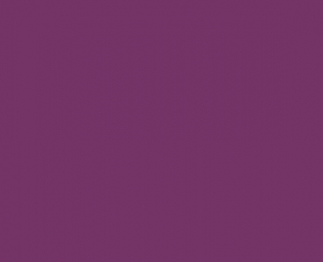 Wachsplatten 175x80x0,5mm brombeer