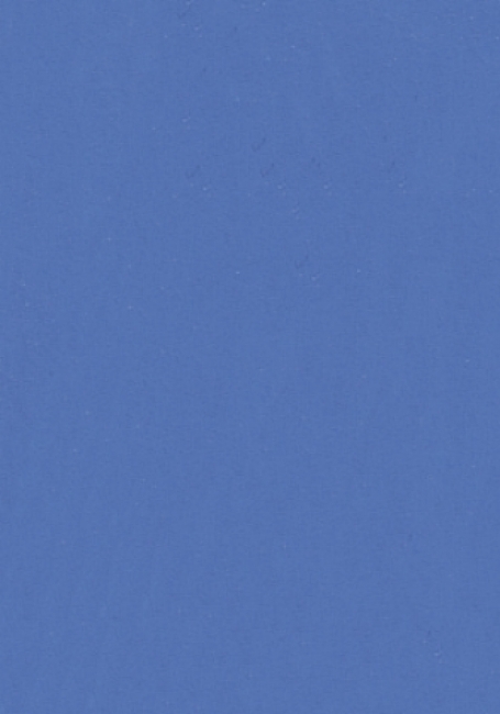 WACO Fin 50ml blau