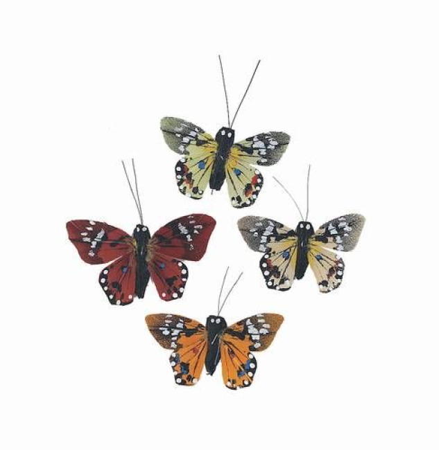 Schmetterling
