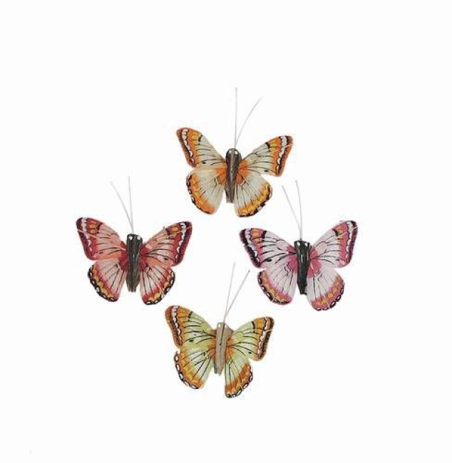Schmetterling