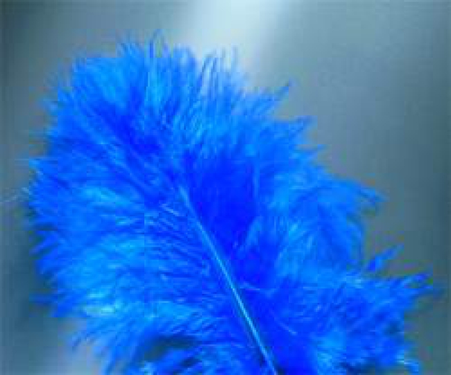 Marabufedern blau