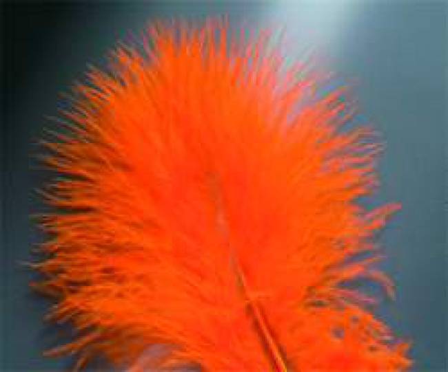 Marabufedern,orange