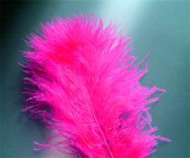 Marabufedern pink