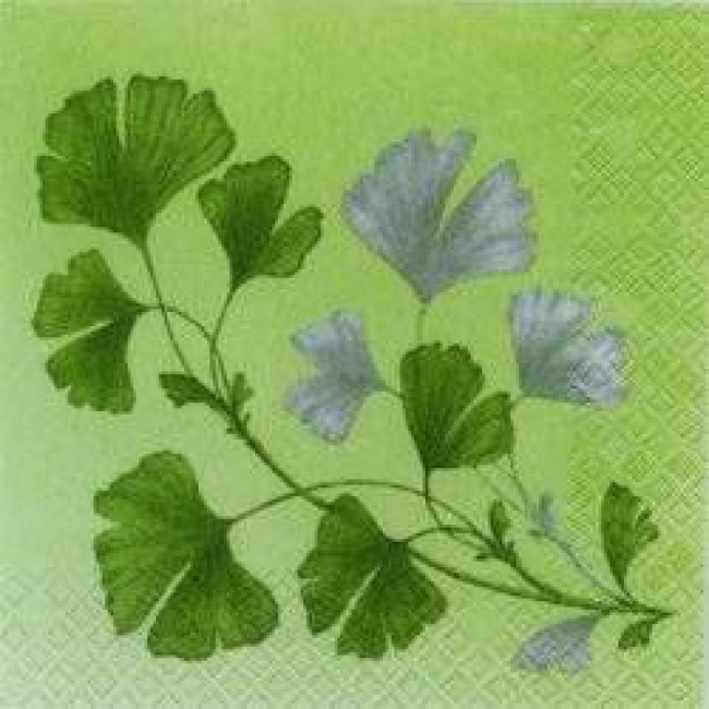 Gingko