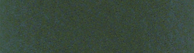 Bastelfilz 45cm x 2,5m tannengrün