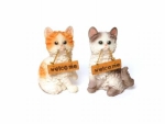 Katzen